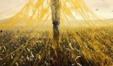 双螺旋 在线观看,双螺旋结构的在线之旅